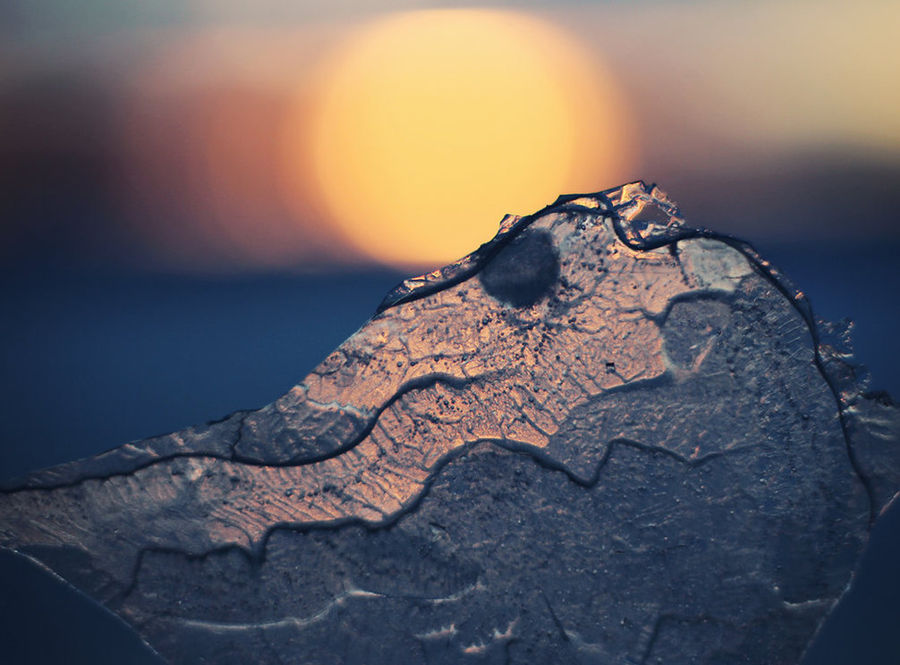 柯尔凯思：炒外汇亏钱，都是你自己的错！